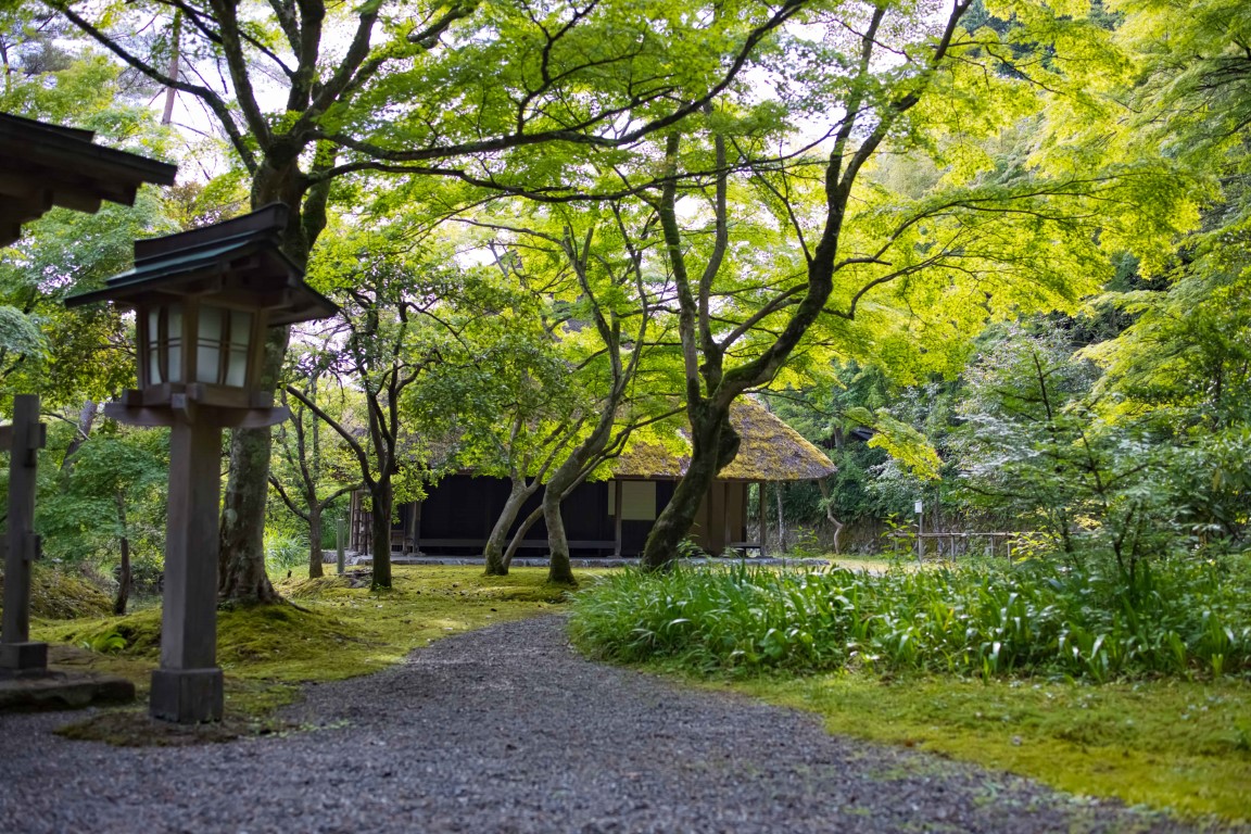 新緑このはな庵