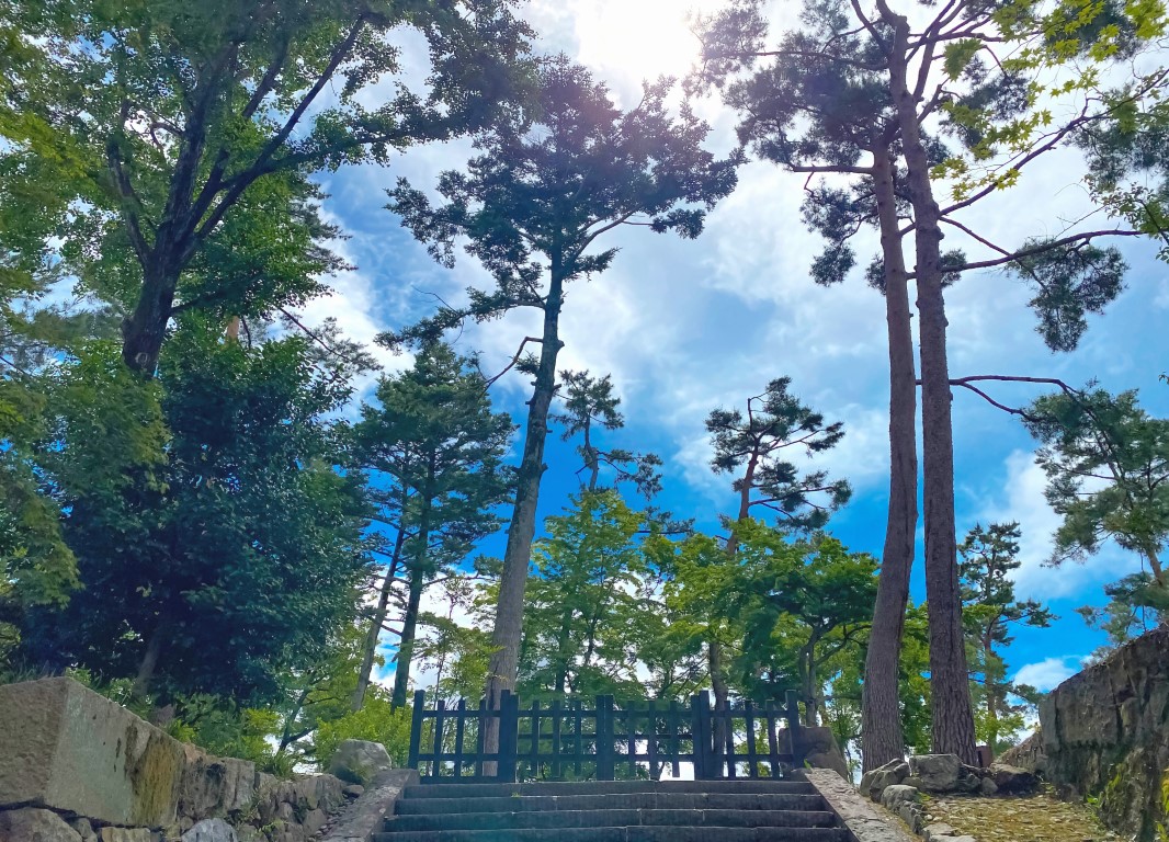 大本聖地