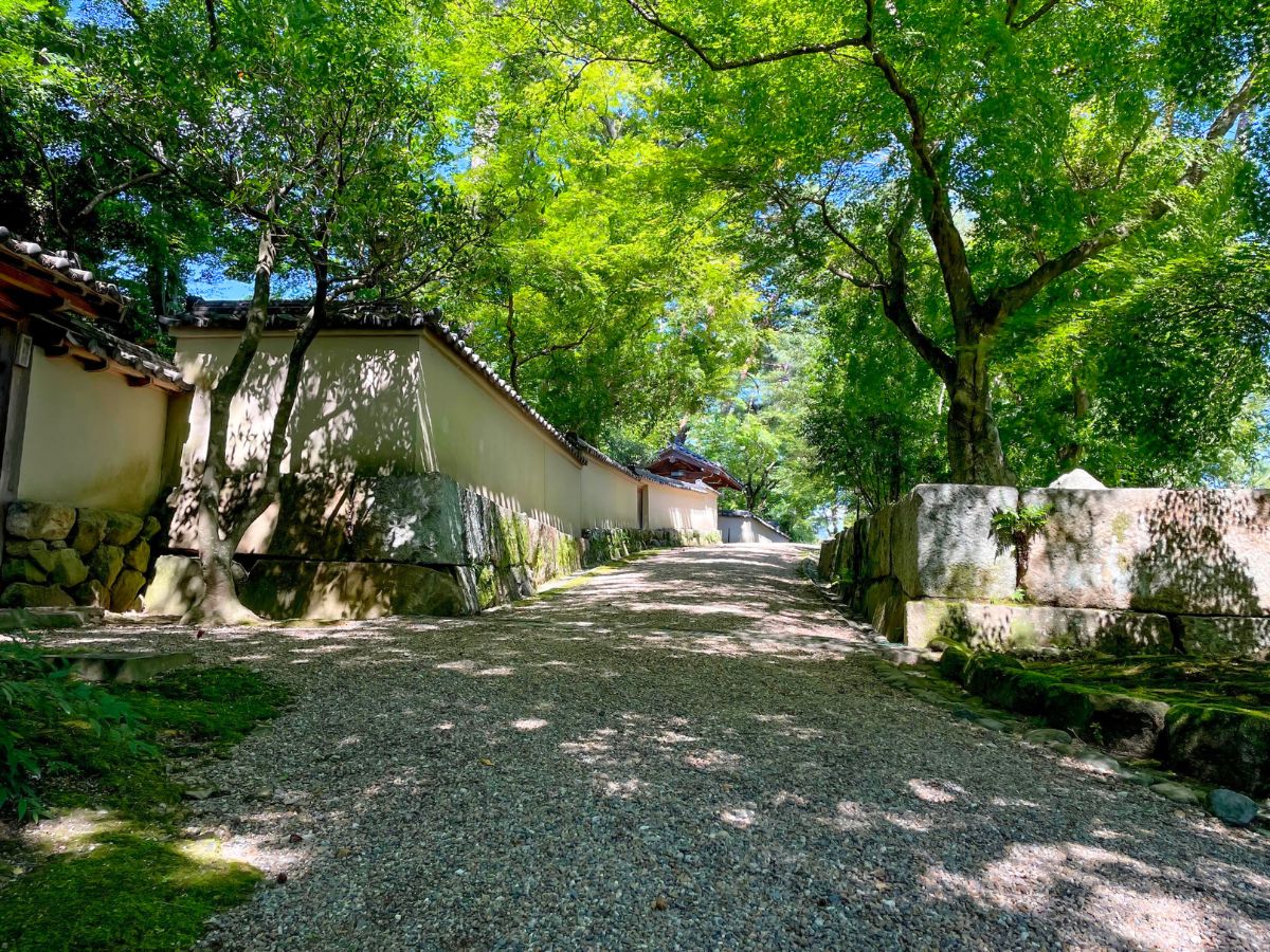 大本神苑の夏